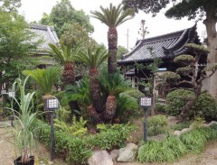 トータルプランツ　イーグレット