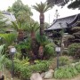 トータルプランツ　イーグレット