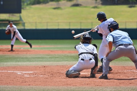 Seeds7　physical　＆　conditioning　LABO