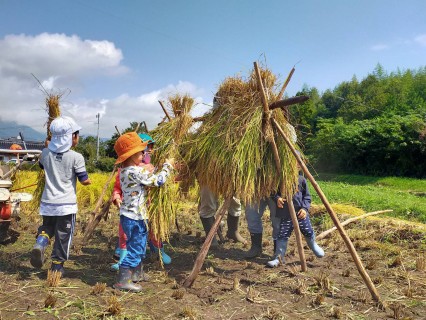 なぎの里ふれあい農園