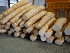 株式会社あいない