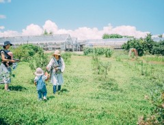 ベーストヨトミ