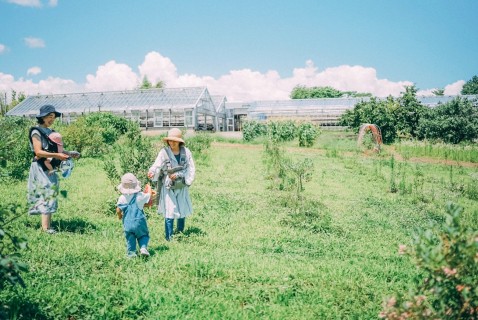 ベーストヨトミ