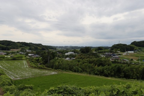 野良屋 おおがき（ノラヤオオガキ）