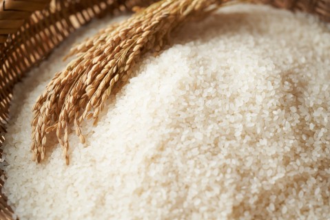 あおりこふぁ～む