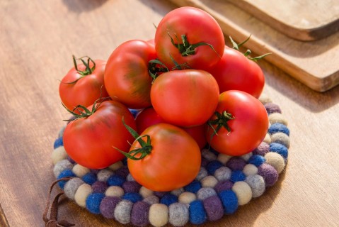 日高みよし農園