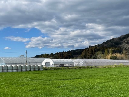 縁Do（えんどう）ふぁーむ