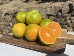 ミヤモトファーム