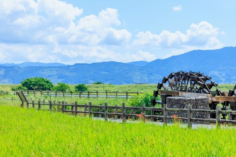領家農園
