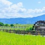 領家農園