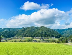 まるさとファーム