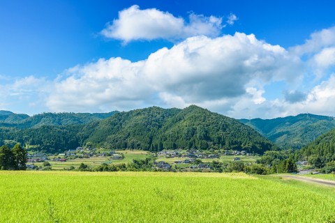 まるさとファーム
