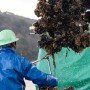 太田水産